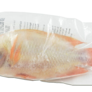 Tilapia Rood