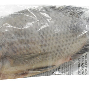 Tilapia Zwart
