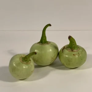 Antroewa (Prijs op aanvraag)