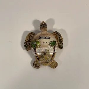 Koelkastmagneet Schildpad