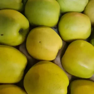 Appel (op gewicht)