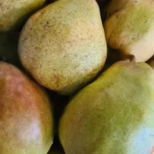 Peren (op gewicht)